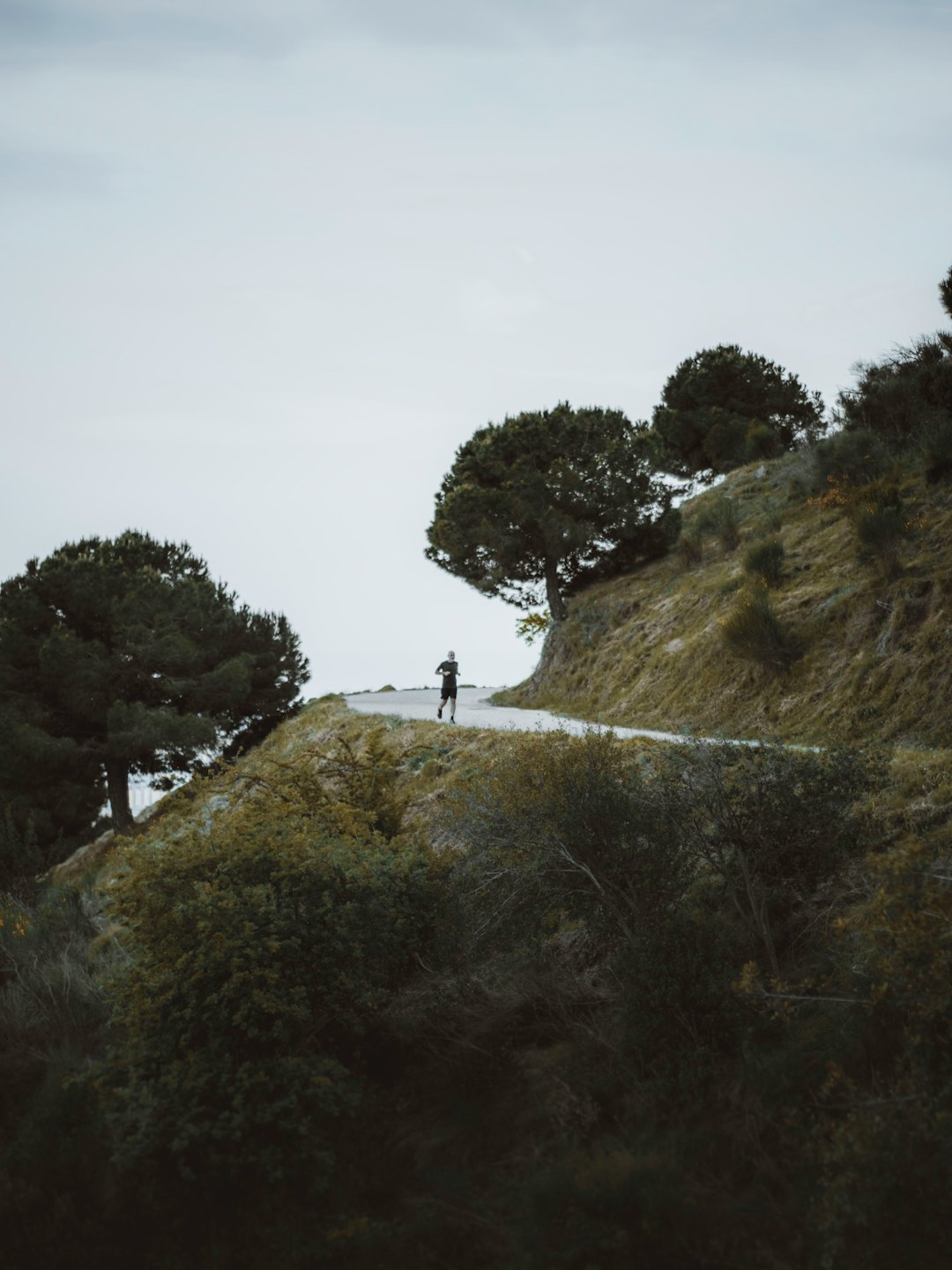 A runner climbs a winding road through a lush mountain landscape.